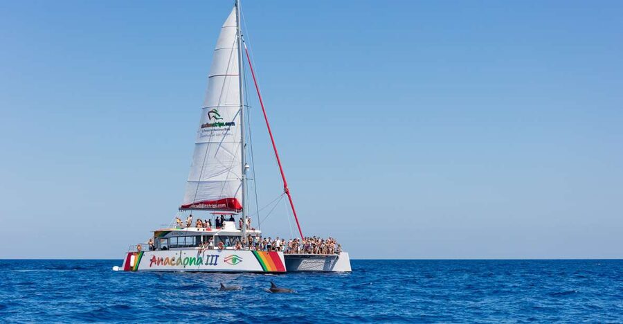 Alcudia: Sunset Catamaran Tour with Dinner and Snorkeling - Snorkeling, kayaking, and paddleboarding without a packed schedule