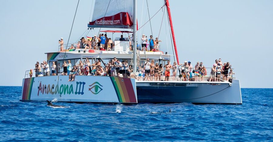 Alcudia: Sunset Catamaran Tour with Dinner and Snorkeling - The quiet cove is the heart of the trip