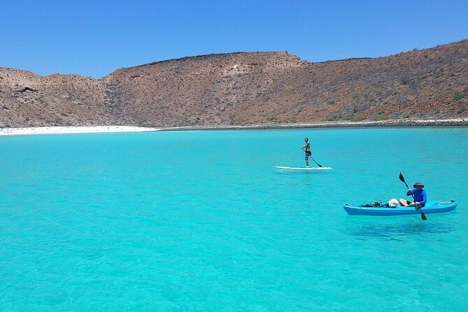 All-Inclusive catamaran Espiritu Santo Island Tour from Los Cabos - Who will enjoy this island day most?
