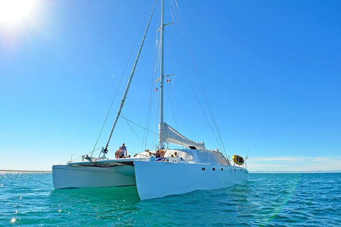 All-Inclusive catamaran Espiritu Santo Island Tour from Los Cabos - Booking timing and cancellation rules