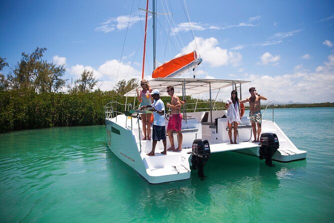 All inclusive CATAMARAN with BBQ : Ile aux cerf & GRSE waterfall - Snorkeling adds an active break