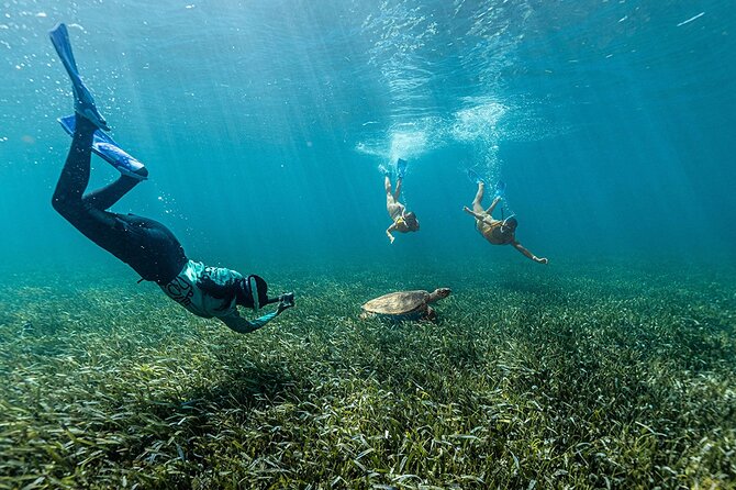All-Inclusive Isla Mujeres Catamaran with Free Transportation - Snorkeling at El Meco Reef