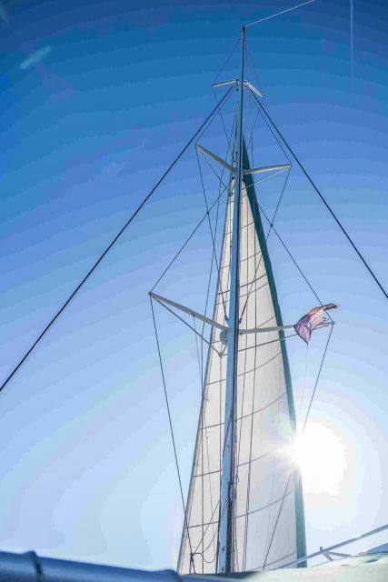 Altea: Catamaran Tour with Sunset Option - Who Will Enjoy This Catamaran Trip Most