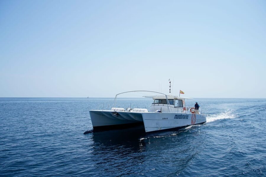 Altea: Motor catamaran with optional lunch and swimming stop - What makes this Altea catamaran trip worth considering