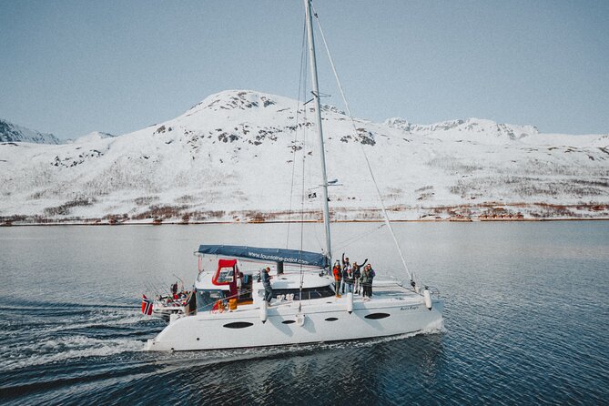 Arctic Fjordcruise & Safari in Tromso with Luxury Catamaran - Rya and the pull of the current