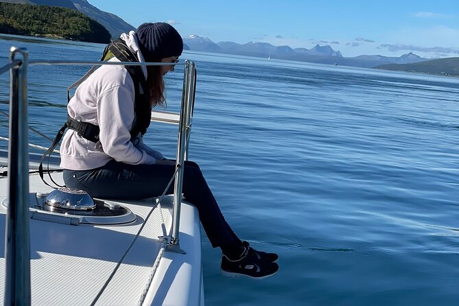 Arctic Fjordcruise & Safari in Tromso with Luxury Catamaran - Value, timing, and practical fit