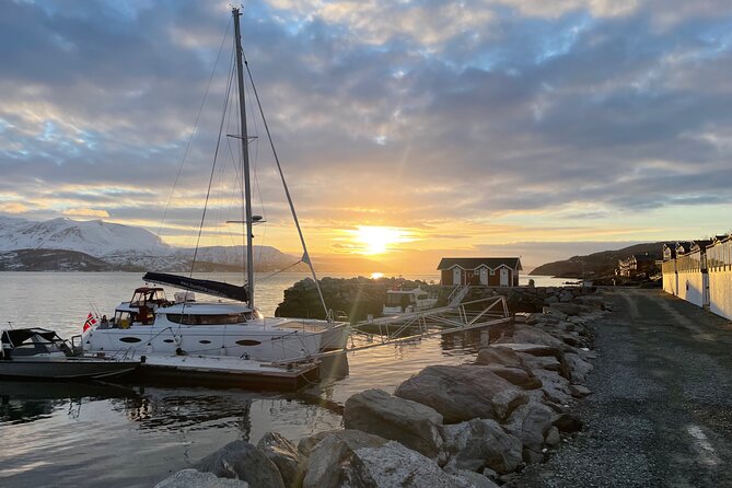 Arctic Fjordcruise & Safari in Tromso with Luxury Catamaran - Fjellheisen from the water