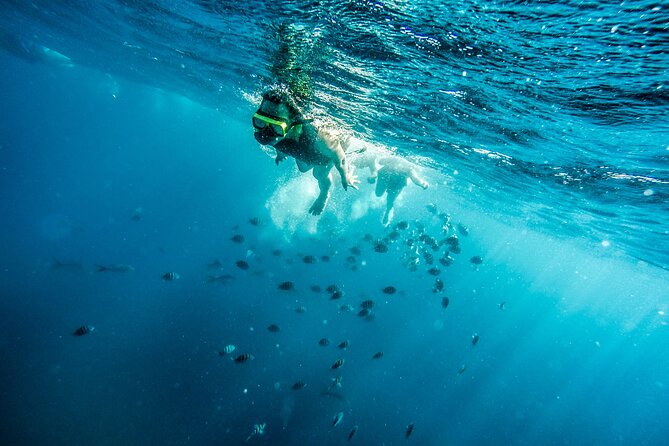 Aruba Afternoon Snorkel Sail aboard Palm Pleasure Catamaran - What the Catamaran Ride Is Really Like