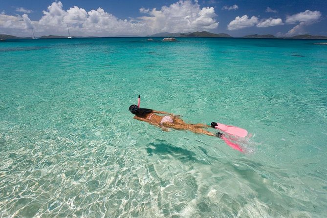 Aruba Morning Snorkel Sail aboard Palm Pleasure Catamaran - Boca Catalina offers calmer reef snorkeling