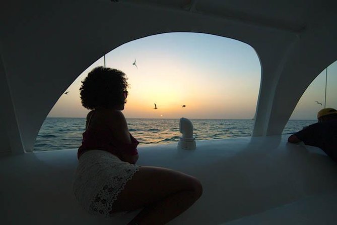 Aruba Sunset Sail Cruise Aboard The Dolphin Catamaran - Open bar drinks and light snacks