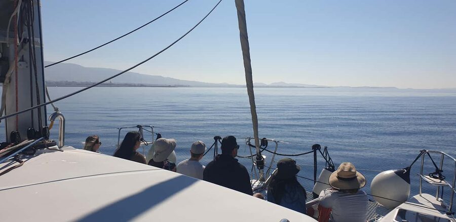 Athens Riviera Private Catamaran Cruise with Meal and Drinks - What the $2,061 group price really means