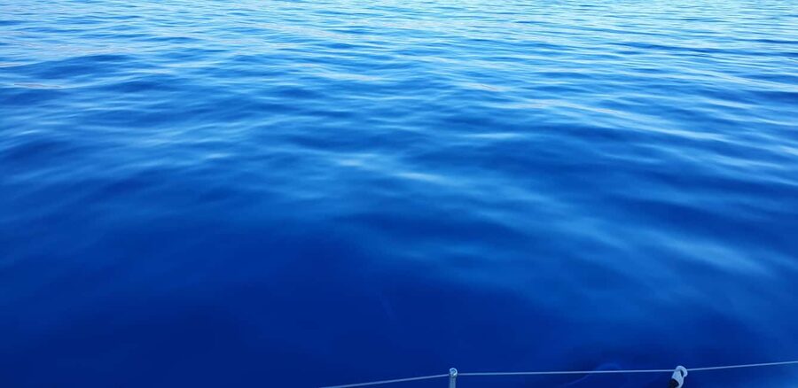 Athens Riviera Private Catamaran Cruise with Meal and Drinks - Who will enjoy this catamaran most