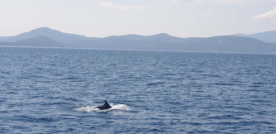 Athens Riviera Private Catamaran Cruise with Meal and Drinks - Hydrousa offers a quieter second anchor stop