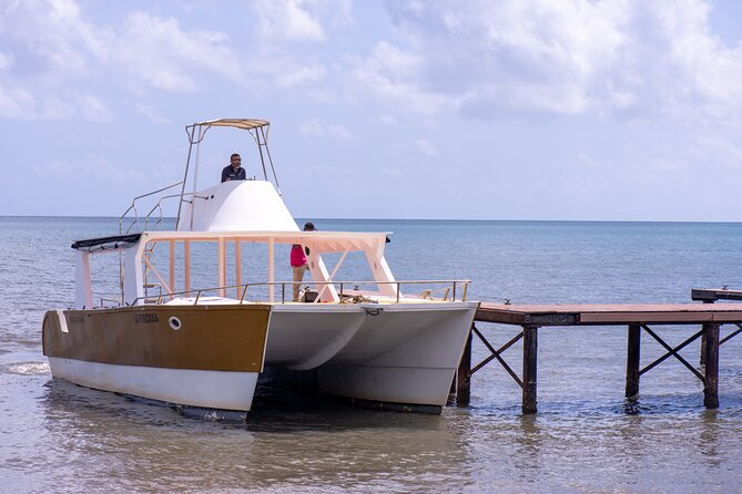 Bacardi Island Excursion with Catamaran, Beach and Lunch - Sargassum and changing beach conditions
