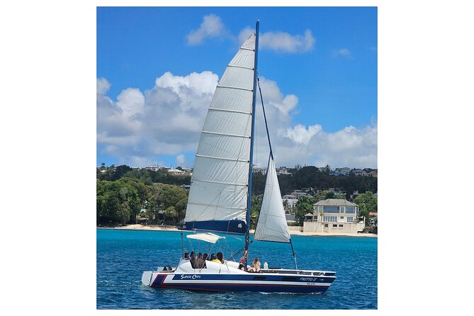 Barbados Catamaran Snorkel Cruise with Lunch and Open Bar - Who will enjoy this Barbados cruise most