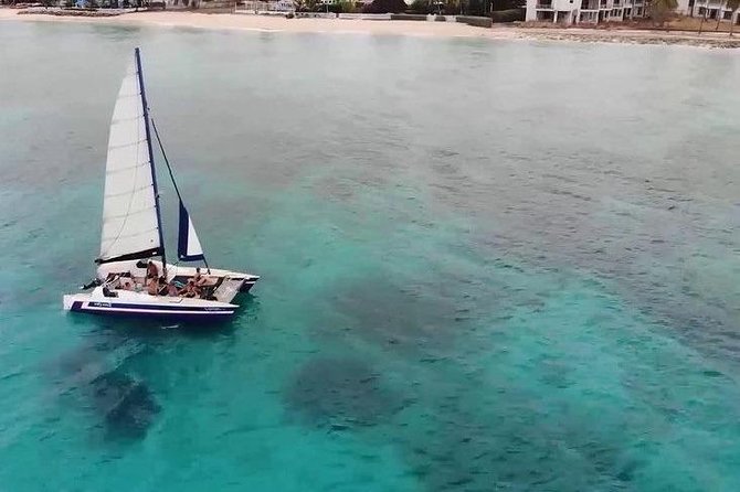 Barbados Catamaran Snorkel Cruise with Lunch and Open Bar - Snorkeling near turtles, wrecks, and fish