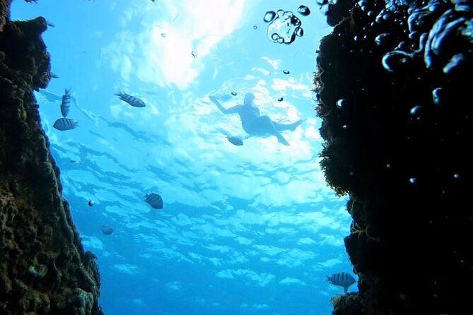 Barbados Catamaran Snorkeling Turtle and Shipwrecks tour - The final two hours back to Bridgetown