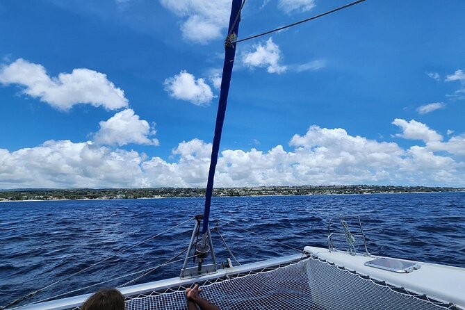 Barbados Catamaran Snorkeling Turtle and Shipwrecks tour - Who will get the most from this catamaran trip
