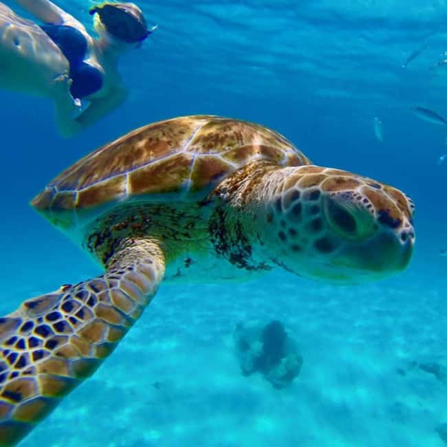 Barbados: Catamaran Tour with Snorkeling and Lunch - Setting out from Bridgetown