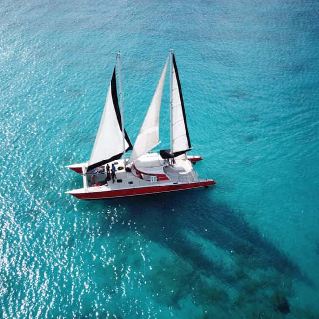 Barbados: Catamaran Tour with Snorkeling and Lunch - Swimming with Barbados’ sea turtles