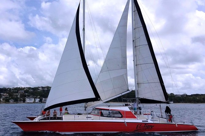 Barbados Catamaran Turtle and Shipwreck Snorkeling Cruise - Choosing three hours or five hours