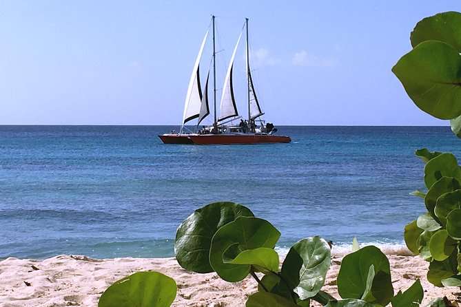 Barbados Catamaran Turtle and Shipwreck Snorkeling Cruise - How the $85 price holds up