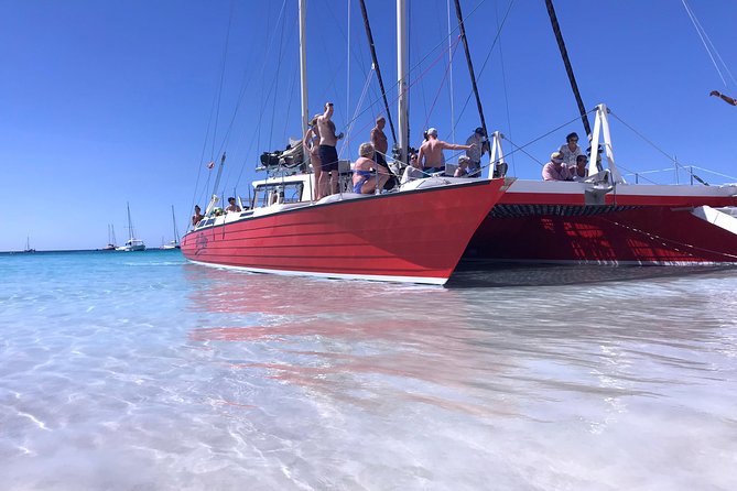 Barbados Catamaran Turtle and Shipwreck Snorkeling Cruise - Practical details that make the day easier