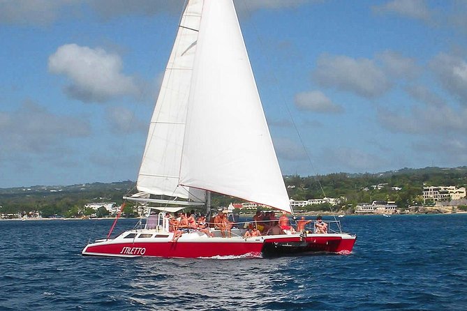 Barbados Catamaran Turtle Snorkel with Lunch and Open Bar - Carlisle Bay is the main event