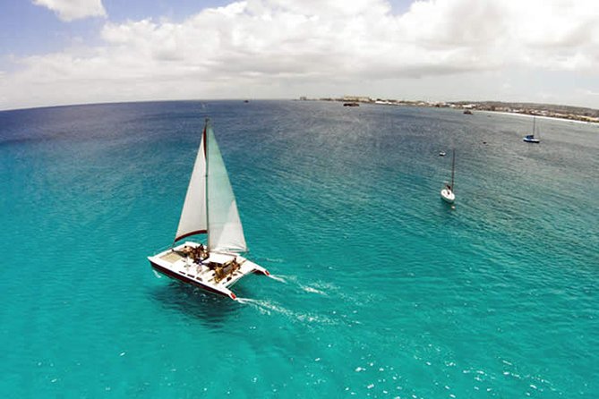 Barbados Catamaran Turtle Snorkel with Lunch and Open Bar - Who will get the most from this cruise