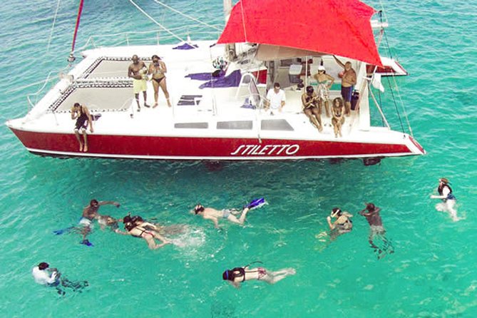 Barbados Catamaran Turtle Snorkel with Lunch and Open Bar - Why this works for first-time snorkelers