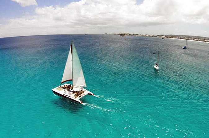 Barbados Catamaran Turtle Snorkel with Open Bar - The shipwreck stop adds more than turtle watching