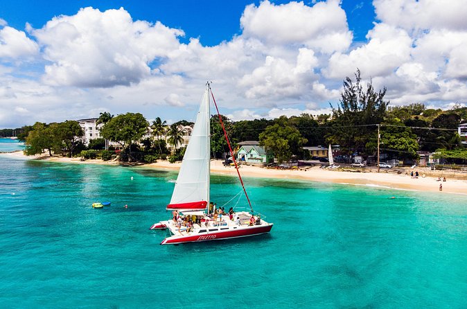 Barbados Catamaran Turtle Snorkel with Open Bar - What the open bar really adds
