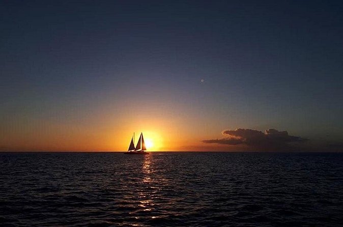 Barbados Sunset and Snorkeling Catamaran Cruise - Who should book this cruise