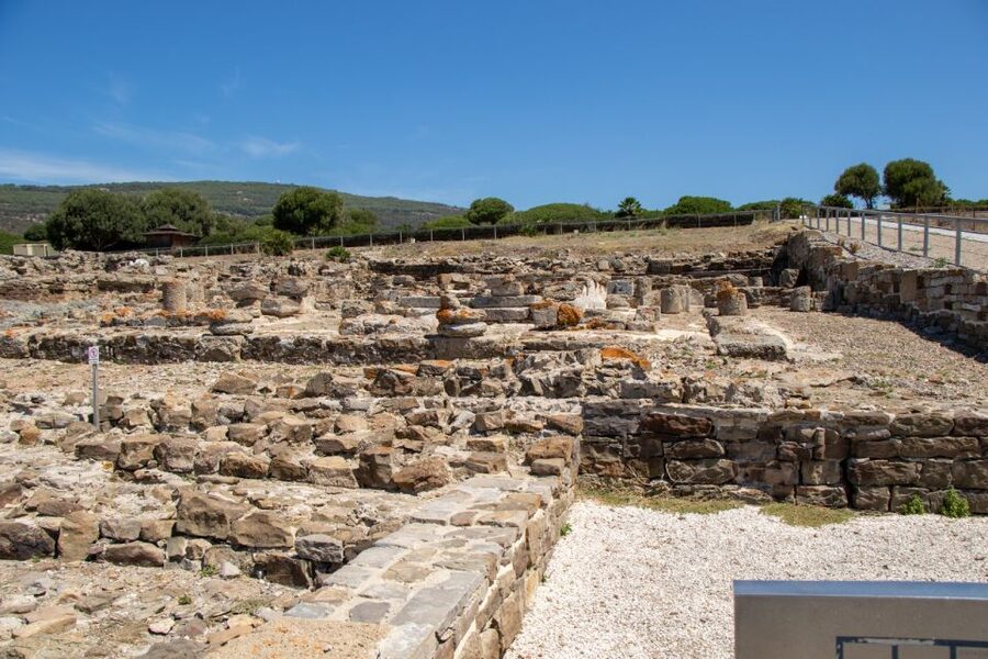 Barbate: Strait Natural Park & Baelo Claudia Catamaran - Who will enjoy this cruise most?