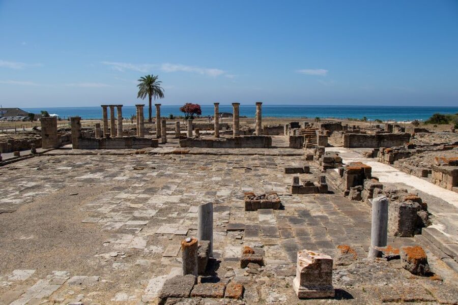 Barbate: Strait Natural Park & Baelo Claudia Catamaran - Practical booking advice