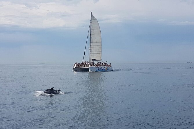 Barcelona Catamaran Party Tour For Young People - Food, drinks, and the timing of alcohol