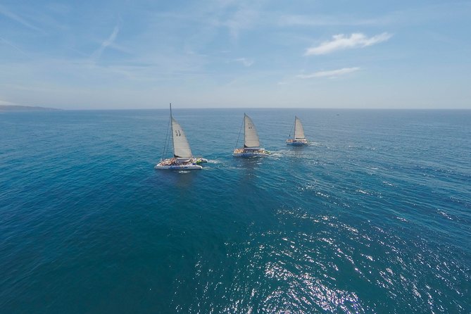 Barcelona Catamaran Party Tour For Young People - The first hour: Barcelona from the water