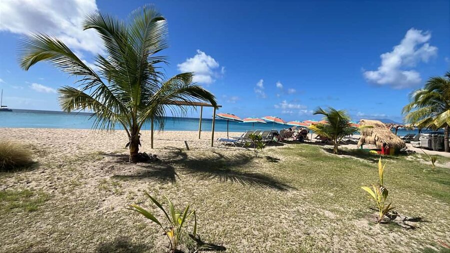 Basseterre: St. Kitts and Nevis Catamaran Tour with Lunch - The return sail with music and open water