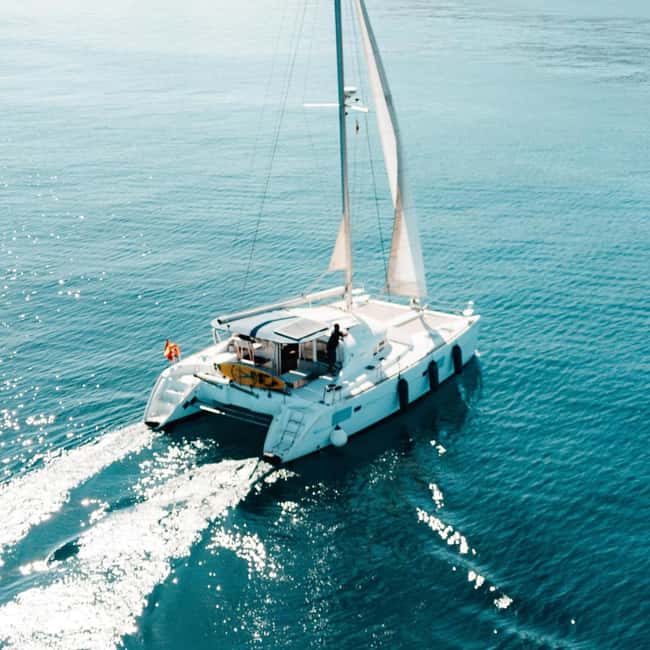 Benalmádena: Catamaran with dolphin watching and drinks - Setting out from Puerto Deportivo Benalmádena