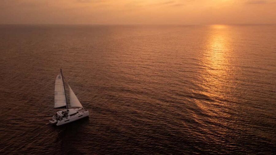 Benalmádena: Catamaran with dolphin watching and drinks - Choosing an afternoon or sunset departure