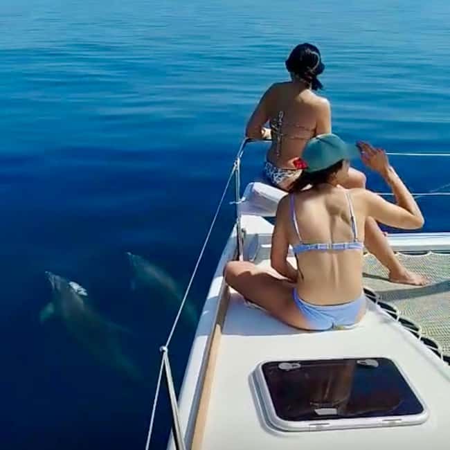 Benalmádena: Catamaran with dolphin watching and drinks - Cruising the Benalmádena coast