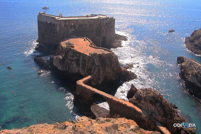 Berlengas Island Catamaran Tour - Round Trip - What the Glass-Bottom Section Really Means