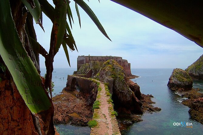Berlengas Island Catamaran Tour - Round Trip - Timing, Connections, and the Biggest Practical Trap