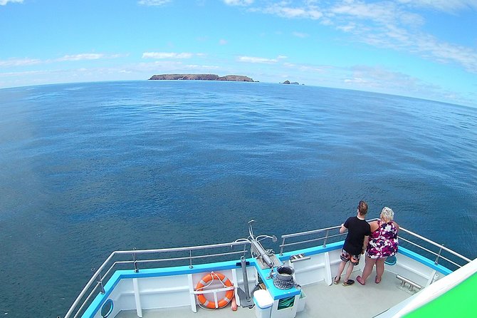 Berlengas Island Catamaran Tour - Round Trip - Weather Can Change the Day
