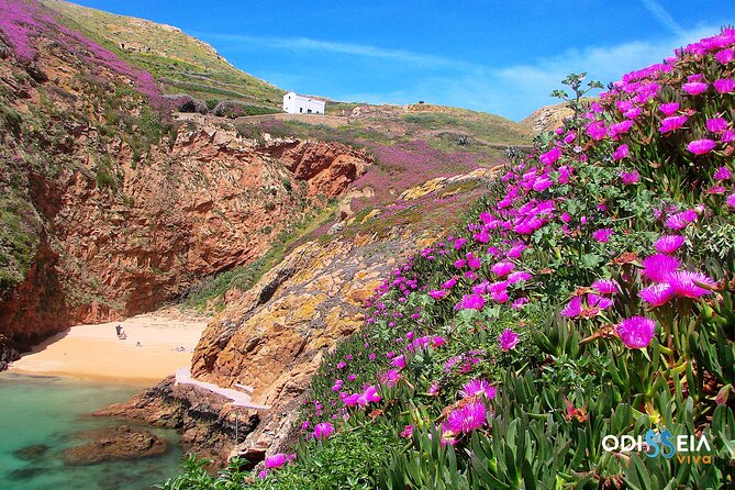 Berlengas Island Catamaran Tour - Round Trip - Who Will Enjoy This Trip Most?
