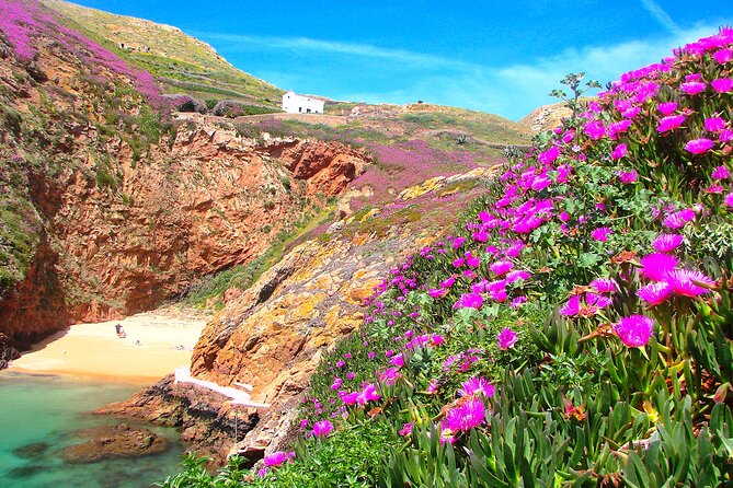 Berlengas Island Catamaran Tour + Snorkeling - Who will enjoy this outing most