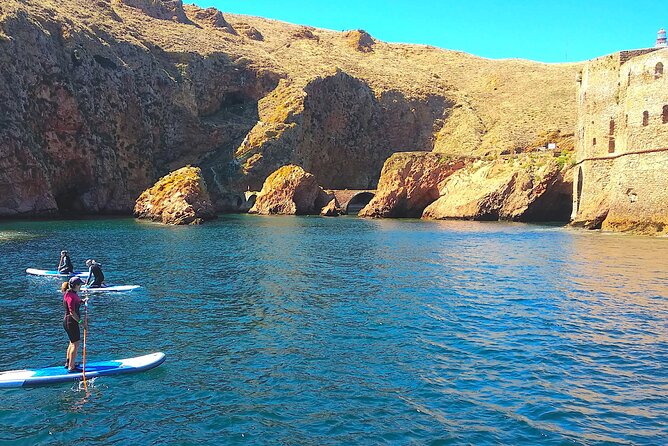 Berlengas Island Catamaran Tour + SUP - The Water Activities: SUP, Swimming, and Snorkeling