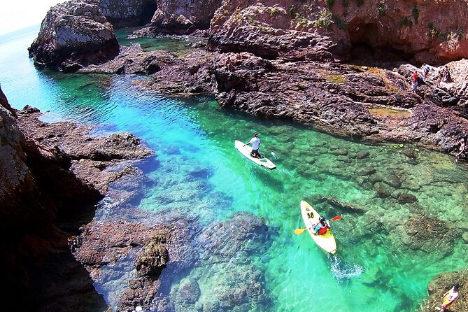 Berlengas Island Catamaran Tour + SUP - How the $117.11 Price Measures Up