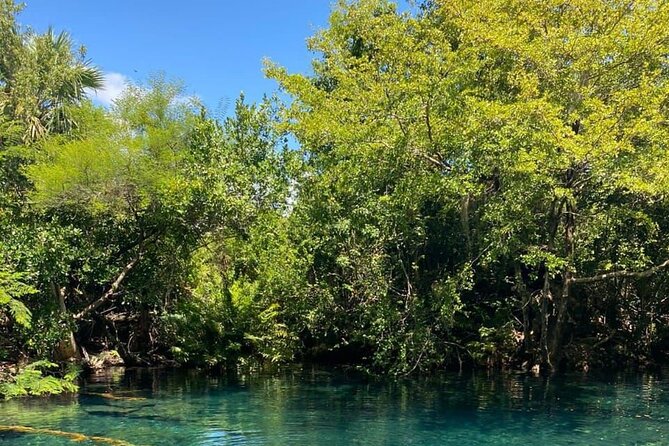 Blue Lagoon Tour with Catamaran Cruise and Snorkeling - Taking the catamaran along the Punta Cana coast