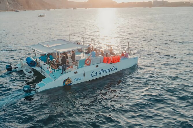 Cabo Catamaran – Snorkeling Tour & Coastal Views - Key points to know before booking